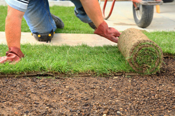 Paradise Valley Fake Grass. Fix Yard Drainage With Fake Grass